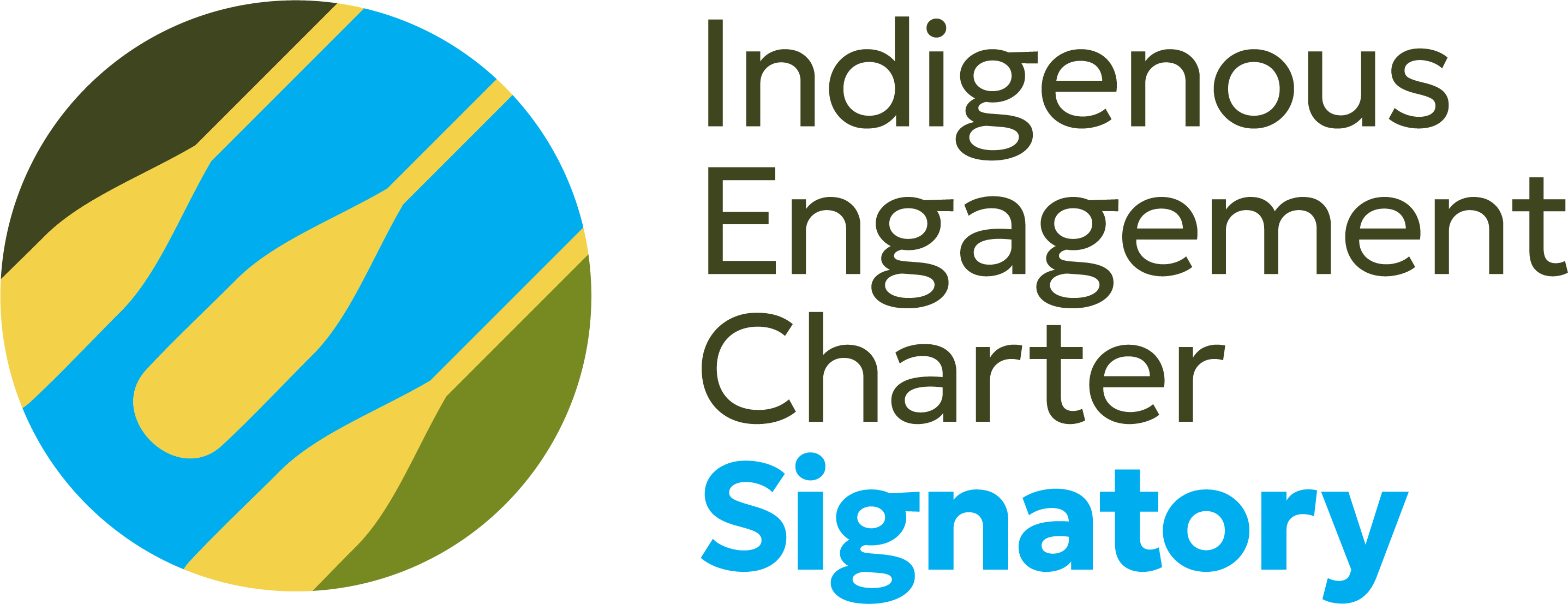 IEC Signatory Logo